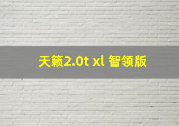 天籁2.0t xl 智领版